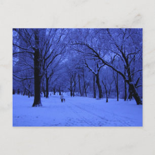 CARTÃO POSTAL NICE WALK