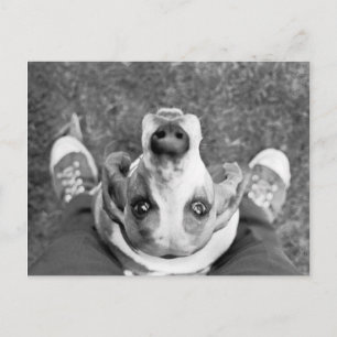 Cartão Postal Nimrod com Cartão-Postal de Pés