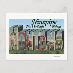 Cartão Postal Ninepipe Nat'l Wildlife Refge, Montana