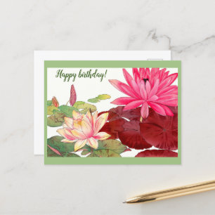 Cartão Postal Ninfhaea lotus, lírios rosa e branco