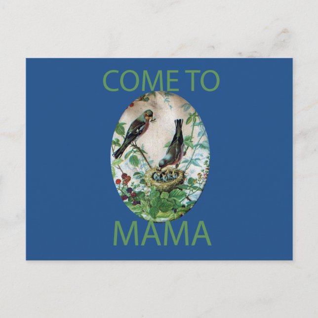 Cartão Postal Ninho da Alegria: Amor Jovem Espirituoso da Famíli (Frente)