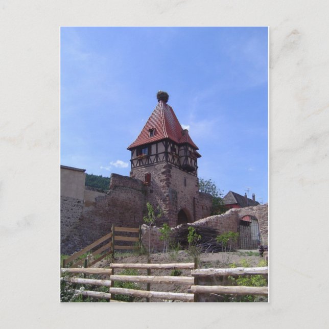 Cartão Postal Ninho da cegonha em Chatenois (Frente)