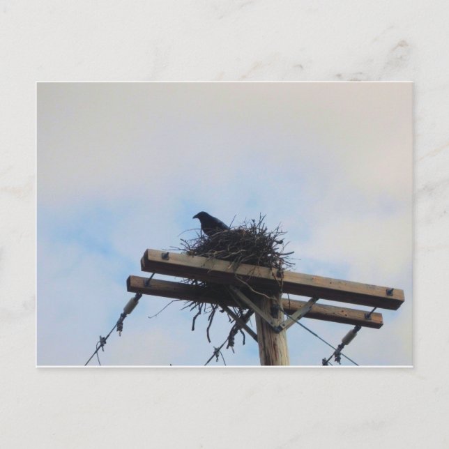 Cartão Postal Ninho de Corvos em Ak (Frente)
