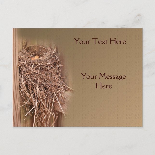 Cartão Postal Ninho De Pássaro Na Natureza Da Cerca (Frente)