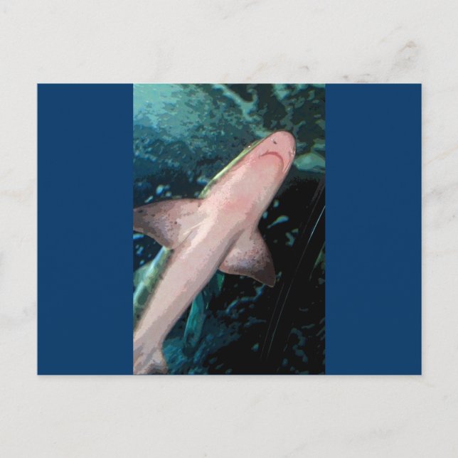 Cartão Postal NJ Shark CB (Frente)
