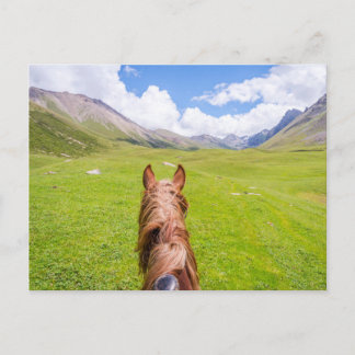 Cartão Postal No cavalo atrás