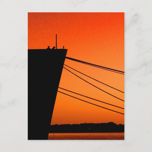 Cartão Postal No conselho T.S. Kennedy (Frente)