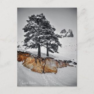 Cartão Postal No entanto cresce