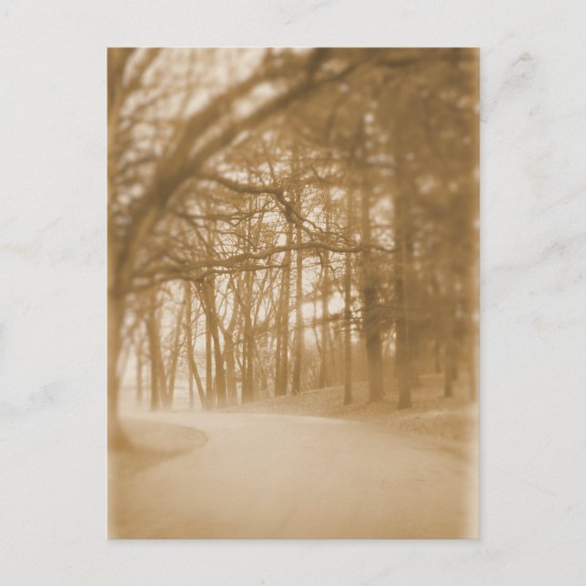 Cartão Postal No Nevoeiro - Cartão-postal (Frente)