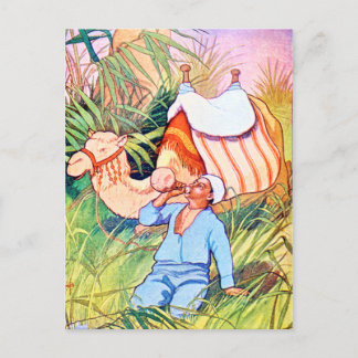 Cartão Postal No Oasis