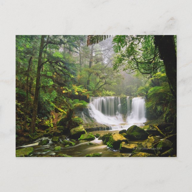 Cartão Postal no Parque Nacional Monte Campo (Frente)
