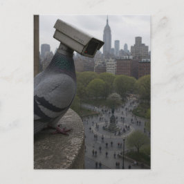Cartão Postal no parque Um pombo de câmera de vigilância surreal