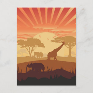 Cartão Postal No Safari