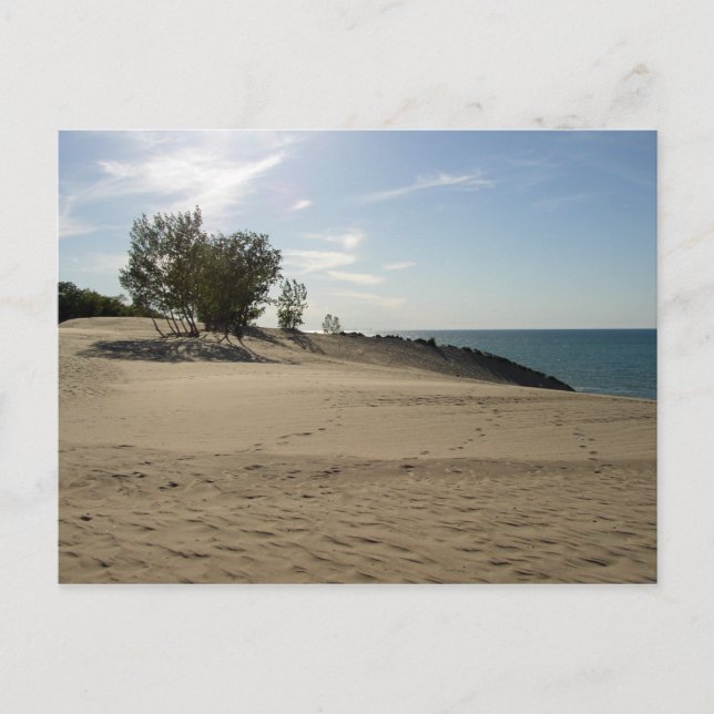 Cartão Postal No topo do Monte Baldy, Indiana Dunes National Par (Frente)