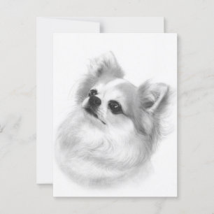 Cartão Postal Noble Charm - Arte Chihuahua Pintada À Mão