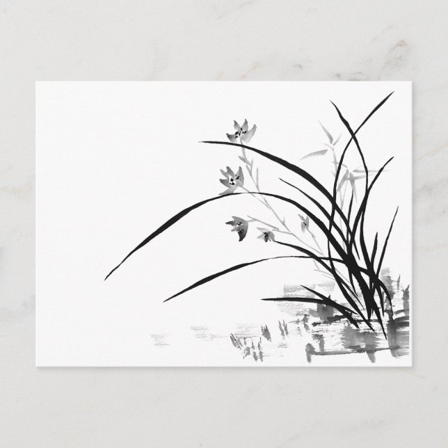 Cartão Postal Noção Orquídea (Frente)