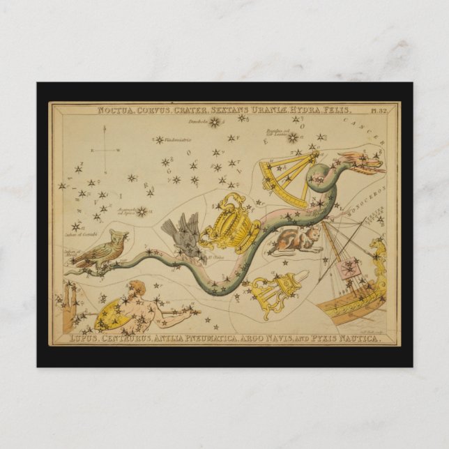Cartão Postal Noctua, Corvus, Hidra, Felis, Lúpus, Centauro, &c (Frente)