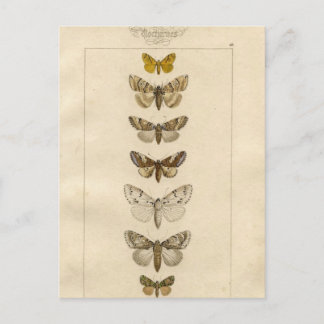 Cartão postal Nocturnes