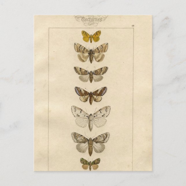 Cartão postal Nocturnes (Frente)