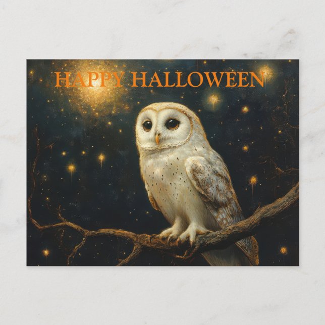 Cartão Postal Noite Assustadora de Halloween com Corujas (Frente)