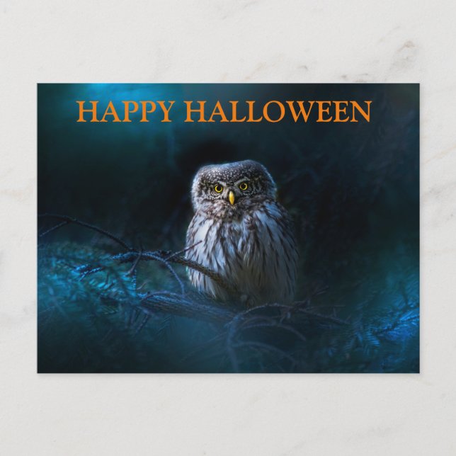 Cartão Postal Noite Assustadora de Halloween com Corujas (Frente)