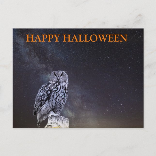 Cartão Postal Noite Assustadora de Halloween com Corujas (Frente)
