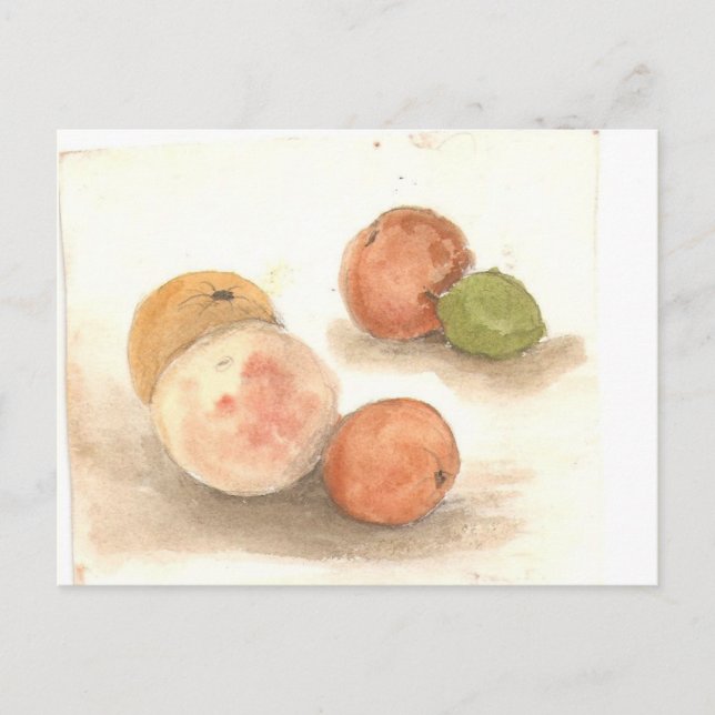 Cartão Postal noite do klassie iguana (Frente)