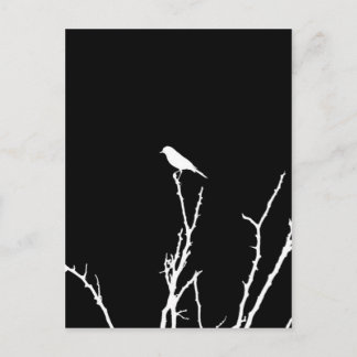 Cartão Postal Noite do Pássaro Cantor