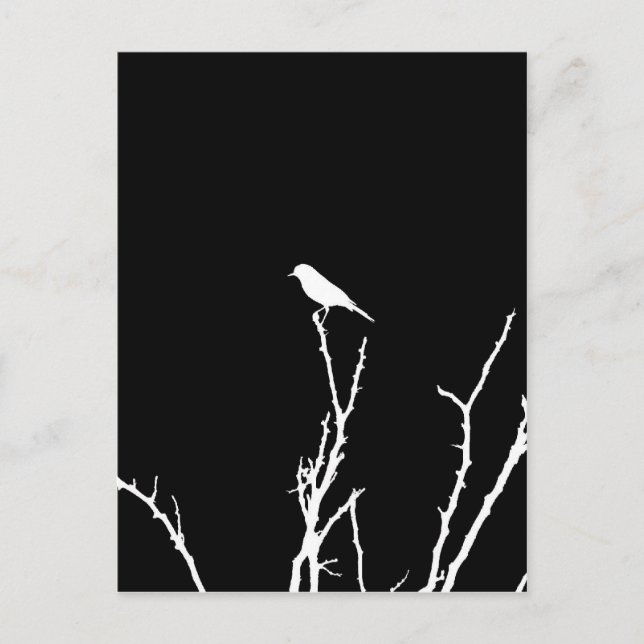 Cartão Postal Noite do Pássaro Cantor (Frente)