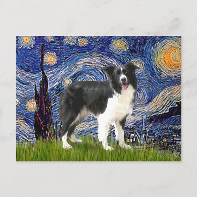 Cartão Postal Noite Estrelada - Border Collie (Z) (Frente)