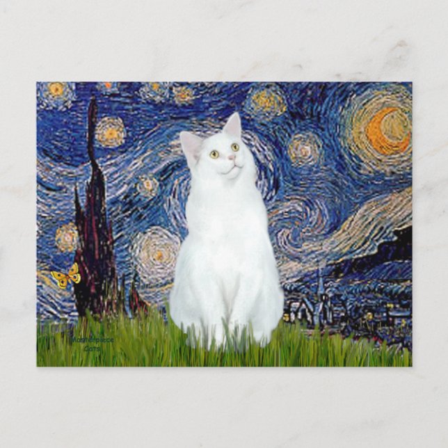 Cartão Postal Noite Estrelada - Gato branco (Frente)