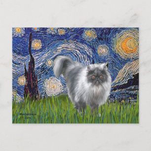 Cartão Postal Noite Estrelada - Gato Persa Azul Fumado