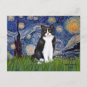 Cartão Postal Noite Estrelada - Gato Preto e Branco