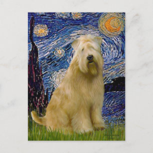 Cartão Postal Noite Estrelada (V) - Wheaten Terrier