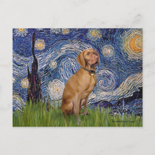 Cartão Postal Noite Estrelada - Vizsla 2