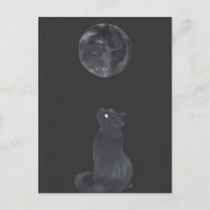 Cartão Postal Noite negra Gato da lua mística