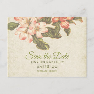 Cartão Postal Noiva Vintage Apple Blossom Salve a Data