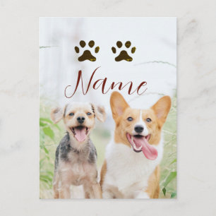 Cartão Postal nome animal de estimação cachorro gato pata foto s