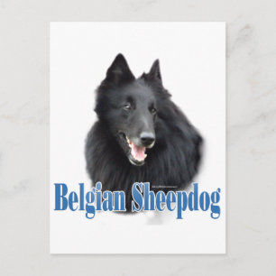 Cartão Postal Nome do Sheepdog belga