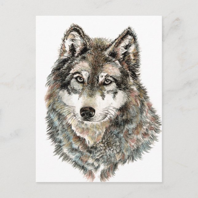 Cartão Postal Nome Personalizado ou Lobo de Textura em Aquarela  (Frente)