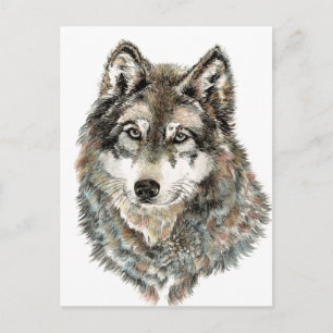 Cartão Postal Nome personalizado ou Wolf de texto aquarela anima