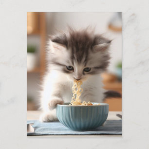Cartão Postal Noodles Adoráveis Que Comem Ramen De Gatinho Fluff