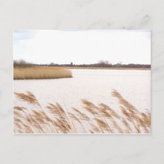 Cartão Postal Norfolk Broads