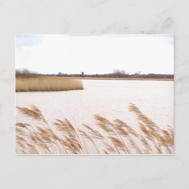 Cartão Postal Norfolk Broads (Frente)