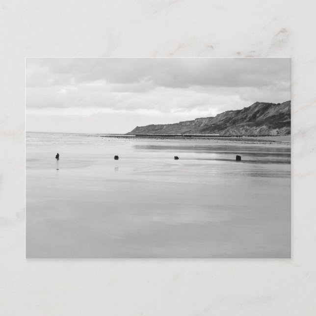 Cartão Postal Norfolk Shore (Frente)