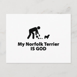 Cartão Postal Norfolk Terrier