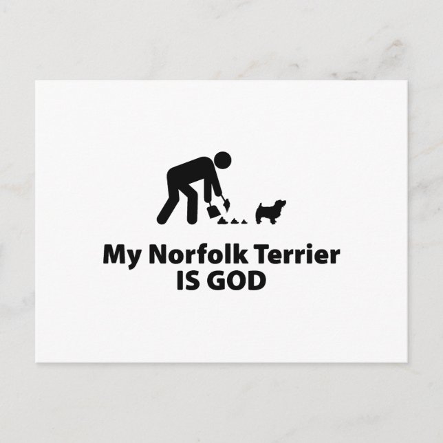Cartão Postal Norfolk Terrier (Frente)