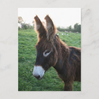 Cartão Postal Normandia 2009