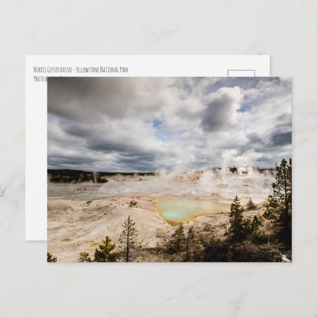 Cartão Postal Norris Geyser Basin Yellowstone (Frente/Verso)
