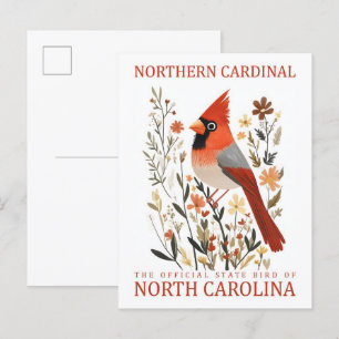 Cartão Postal Norte Cardinal Bird da Carolina do Norte EUA